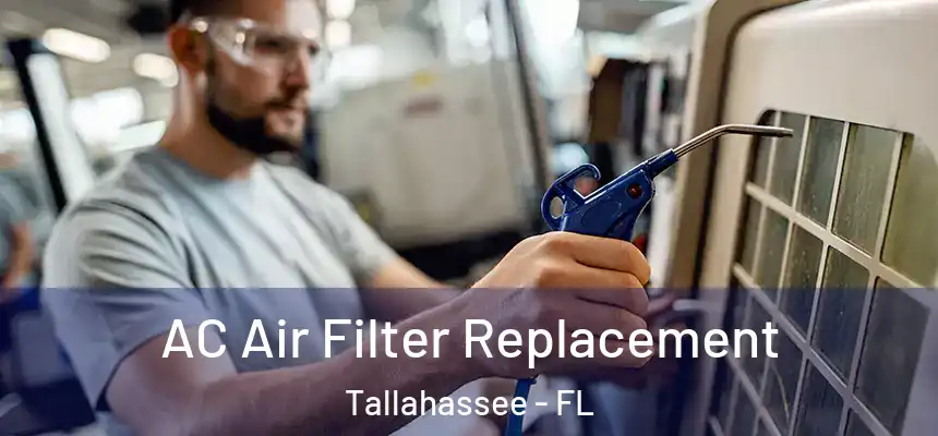 AC Air Filter Replacement Tallahassee - FL