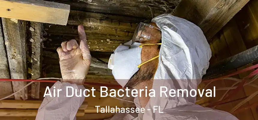 Air Duct Bacteria Removal Tallahassee - FL