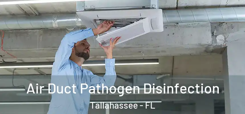 Air Duct Pathogen Disinfection Tallahassee - FL