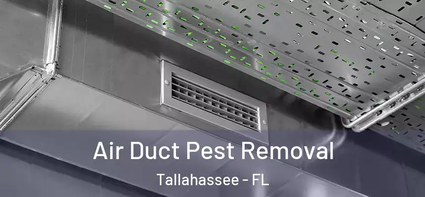 Air Duct Pest Removal Tallahassee - FL