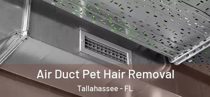 Air Duct Pet Hair Removal Tallahassee - FL