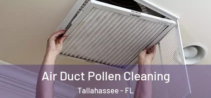 Air Duct Pollen Cleaning Tallahassee - FL