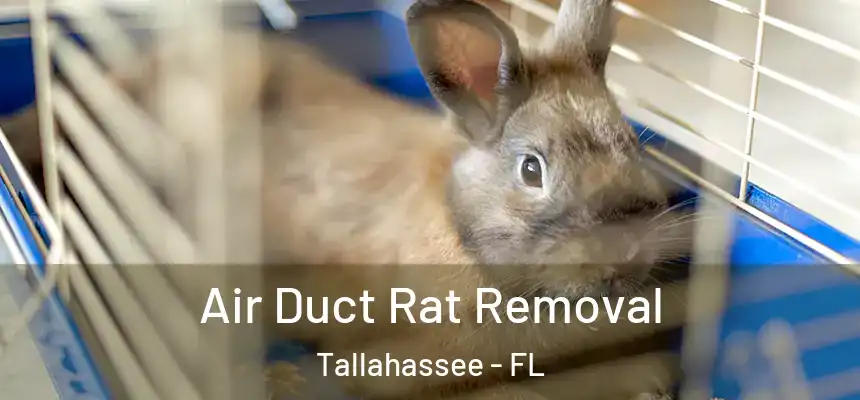 Air Duct Rat Removal Tallahassee - FL