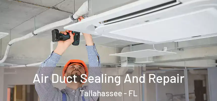 Air Duct Sealing And Repair Tallahassee - FL