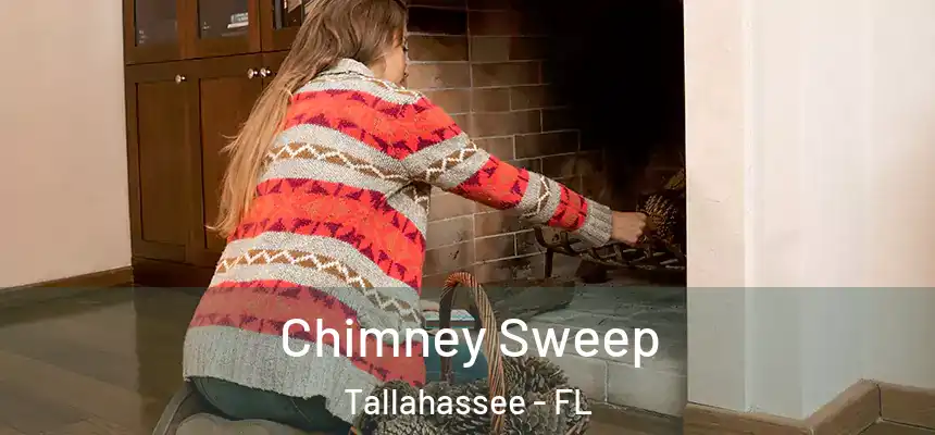 Chimney Sweep Tallahassee - FL