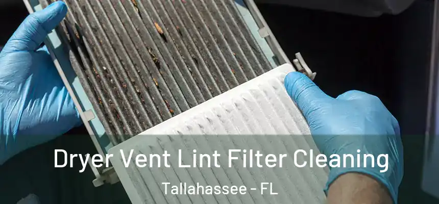 Dryer Vent Lint Filter Cleaning Tallahassee - FL