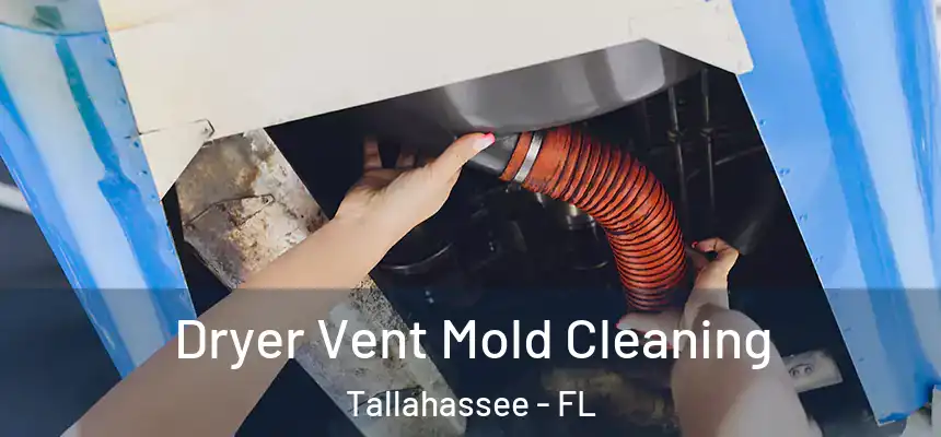 Dryer Vent Mold Cleaning Tallahassee - FL