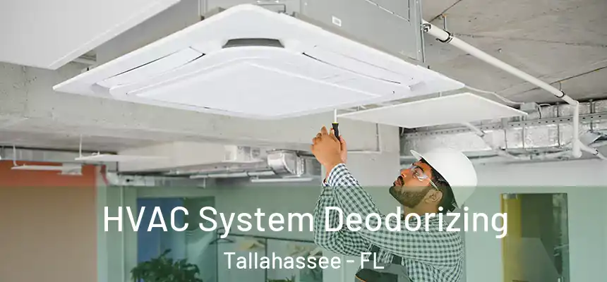 HVAC System Deodorizing Tallahassee - FL