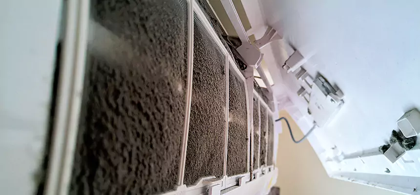 Preventive Air Duct Bacteria Removal in Tallahassee