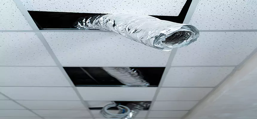 Affordable HVAC Sanitizing After Pest Removal in Tallahassee