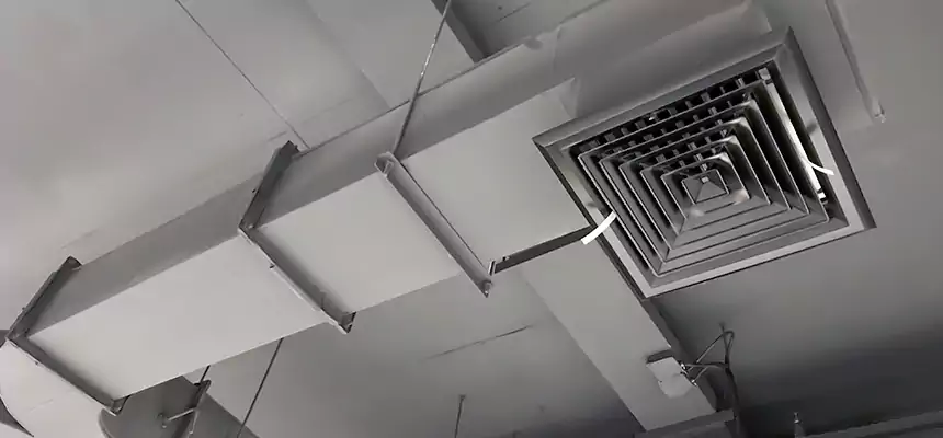 Restorative Allergy Relief Vent Cleaning – Coil, Blower & Housing Detail in Tallahassee