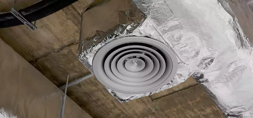Our Excess Lint Removal from Dryer Ducts Services in Tallahassee, FL