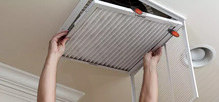 Our Insect Removal from Air Ducts Services in Tallahassee, FL