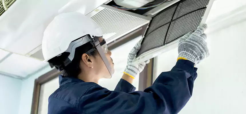 Our Mold & Mildew Removal from Air Ducts Services in Tallahassee, FL