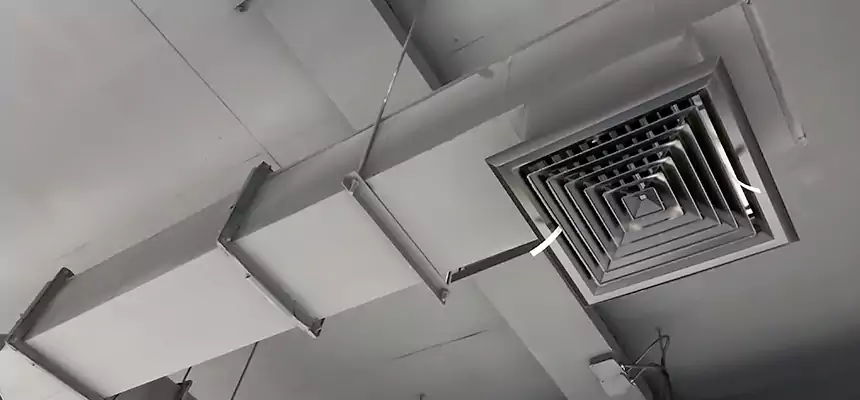 Our Rodent Droppings In Vents Services in Tallahassee, FL