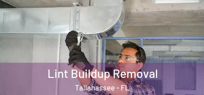 Lint Buildup Removal Tallahassee - FL