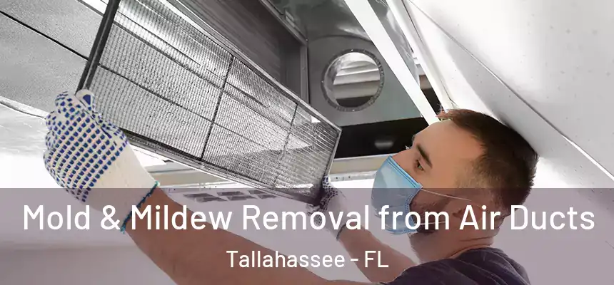  Mold & Mildew Removal from Air Ducts Tallahassee - FL