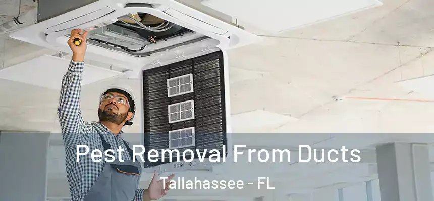 Pest Removal From Ducts Tallahassee - FL
