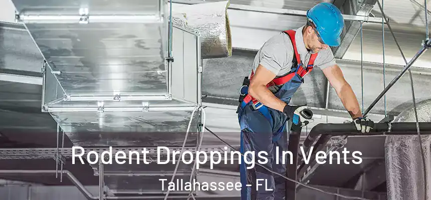  Rodent Droppings In Vents Tallahassee - FL