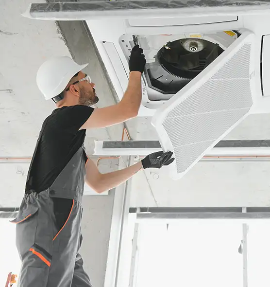 About Air Duct Rodent Removal in Tallahassee, FL