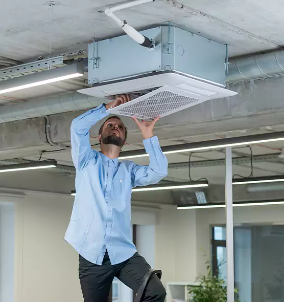 Advanced Rodent Droppings In Vents in Tallahassee, FL