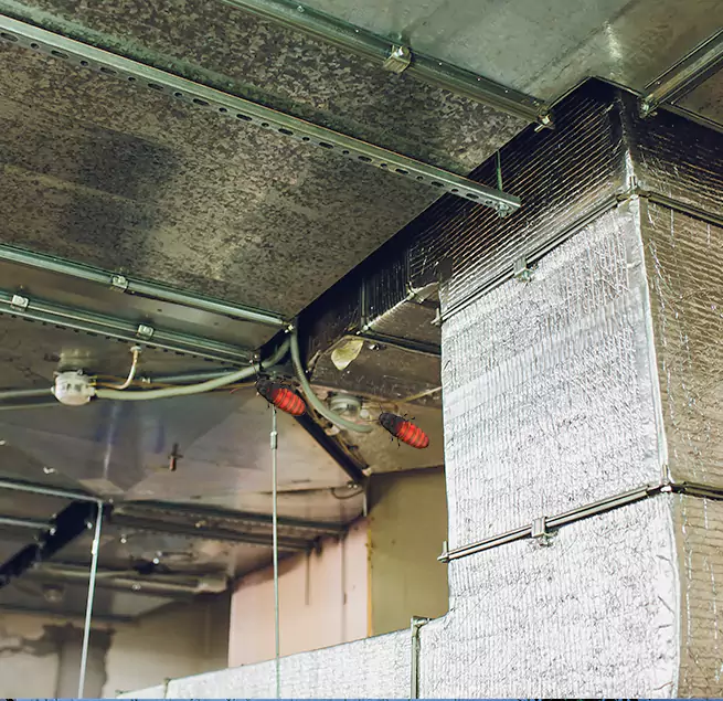 Why Homeowners & Businesses Trust Us in Tallahassee, FL?