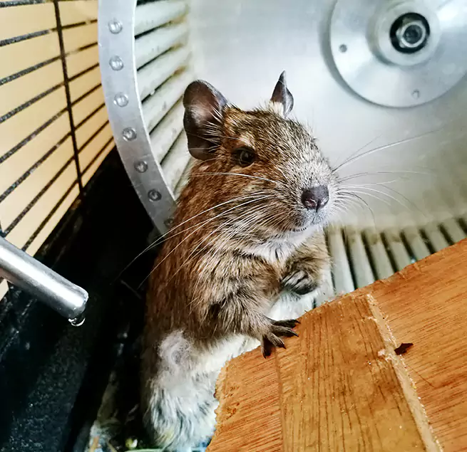 Why Homeowners & Businesses Trust Us Tallahassee, FL