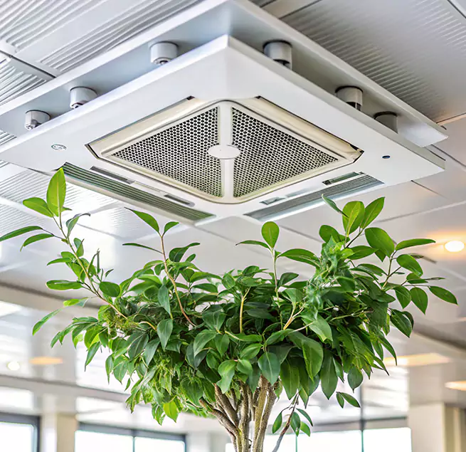 Why Homeowners & Businesses Trust Us in Tallahassee, FL?