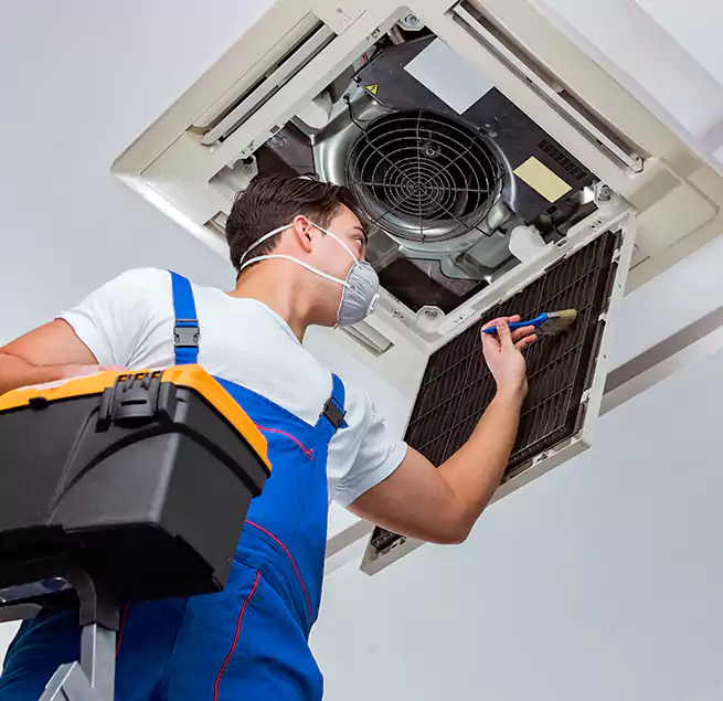 Why Homeowners & Businesses Trust Us in Tallahassee, FL?