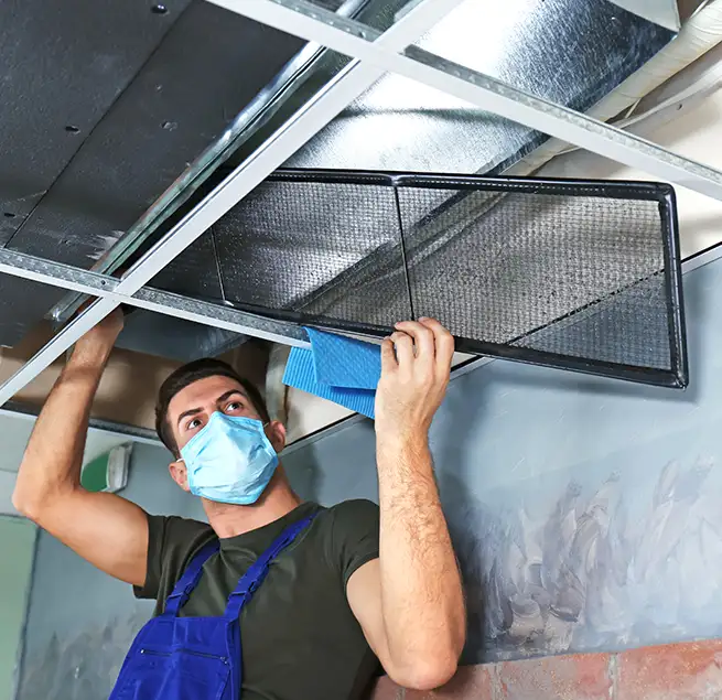 Why Homeowners & Businesses Trust Us in Tallahassee, FL?