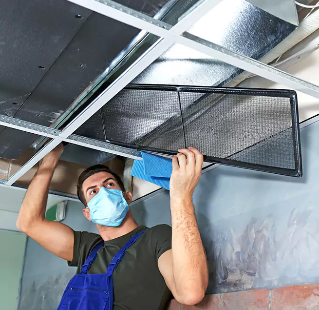 Why Homeowners & Businesses Trust Us in Tallahassee, FL?